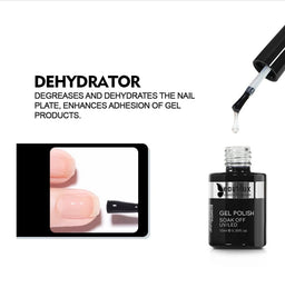 Beautilux Dehydrator Hema free & TPO free