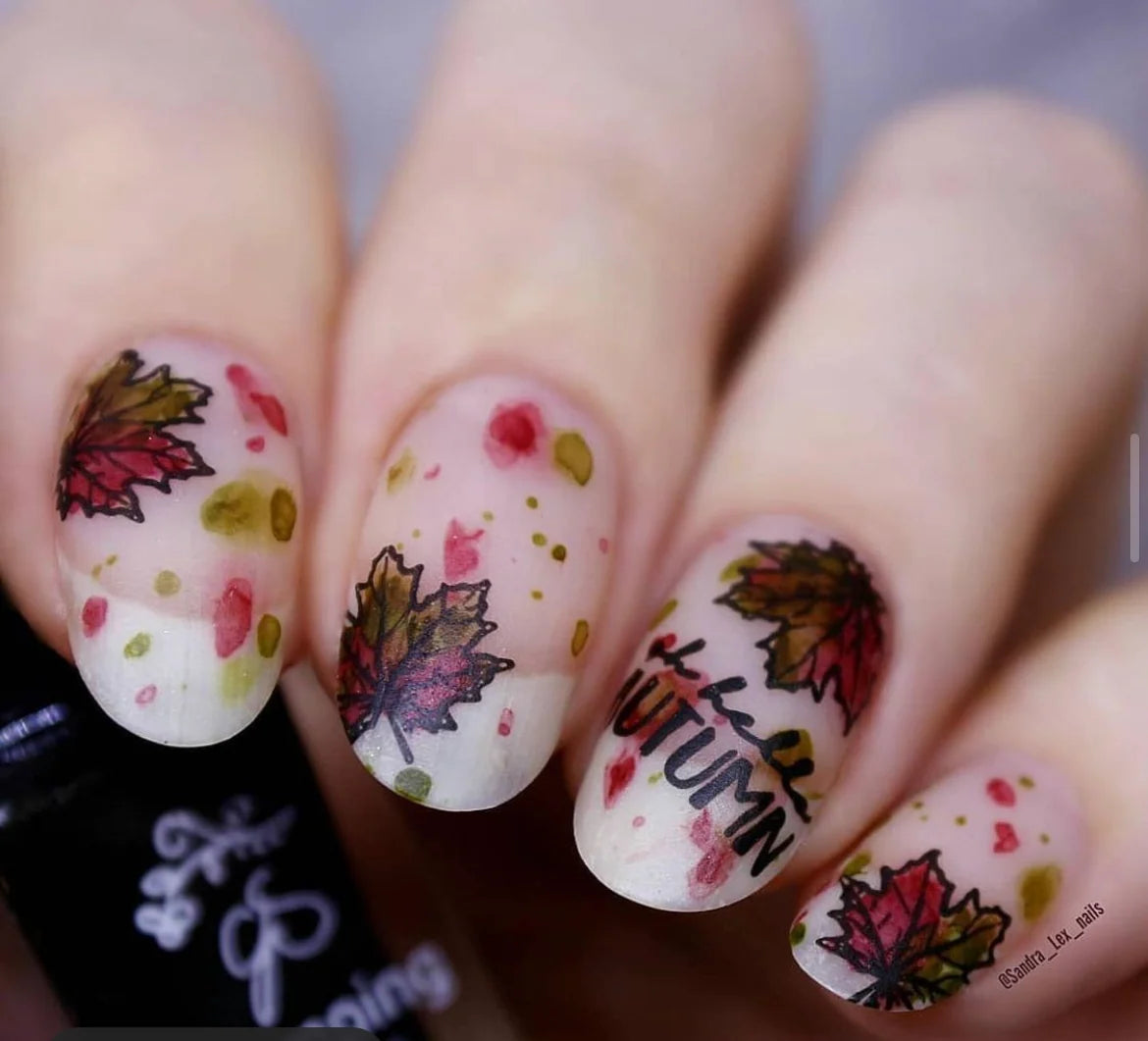 Clear Jelly | Forever Autumn (CjS-86) Etched Nail Art Stamping Plate