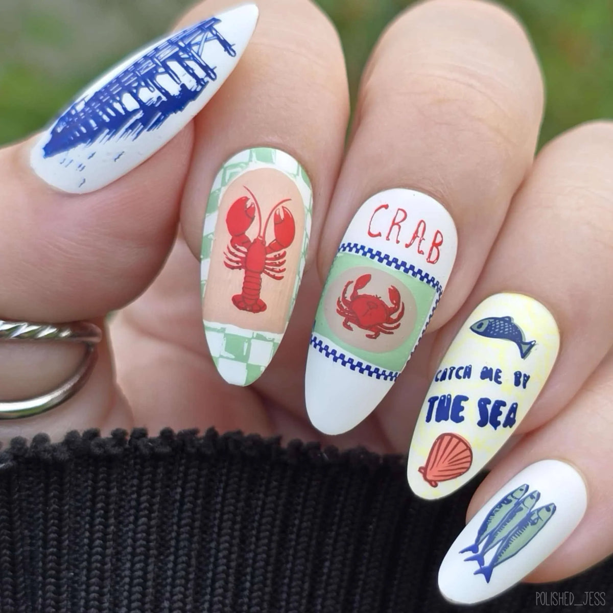 Clear Jelly | Catch Me by the Sea (CjS-380) Etched Nail Art Stamping Plate